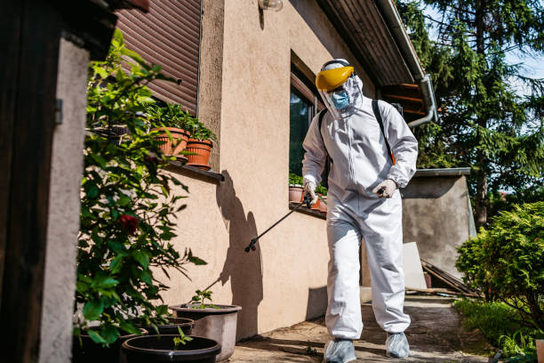 Best Insect Control  in Jonesborough, TN