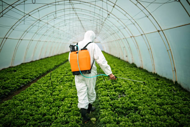 Best Residential Pest Control  in Jonesborough, TN