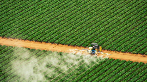 Best Pest Inspection Near Me  in Jonesborough, TN