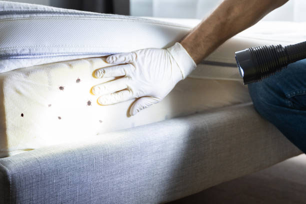 Trusted Jonesborough, TN Pest Control Experts