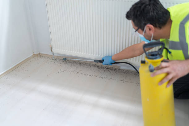 Best Mosquito Control Services  in Jonesborough, TN